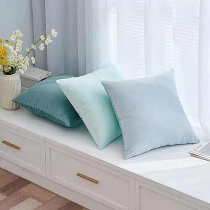 EMEMA Pack of 2 Velvet Pillow Covers Decorative Rectangle Pillowcase Soft Solid Cushion Case for Sofa Bedroom Car 12x20 Inch Baby Blue