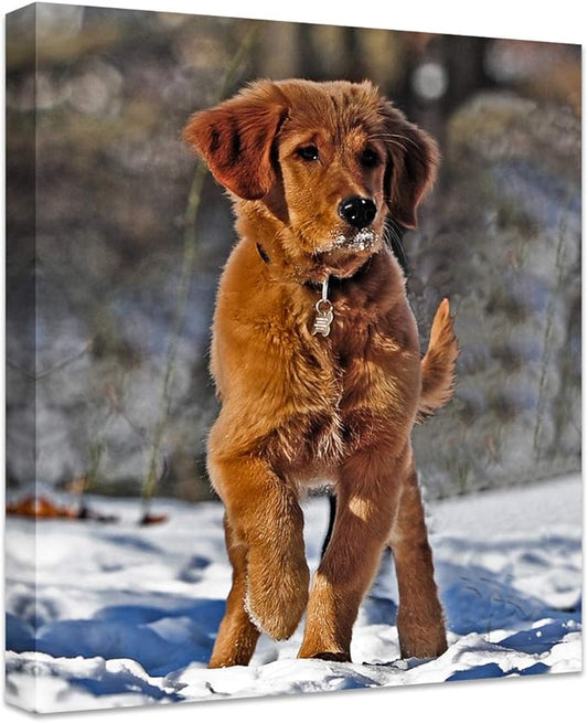 Personalized Photo to Canvas Print - Canvas Prints With Your Photos on Custom Wall Art for Bedroom, Living Room, Wedding Baby Pet Family Picture Framed Wall Art (16" W x 20" H)