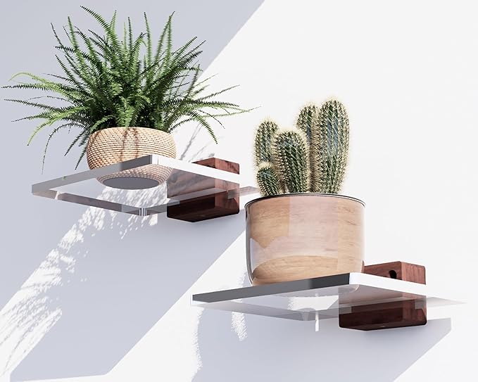 QsQueen Acrylic Floating Shelves with Solid Wood Base, Wall Mounted Shelf for Plants, Perfume, Nail Polish, Bathroom, Bedroom & Living Room Decor