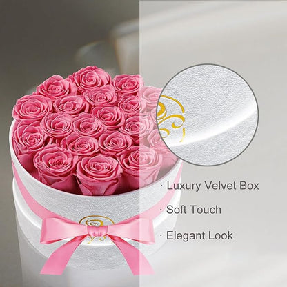 Gifts for Women Preserved Roses Flower Box, Luxury Velvet Box with 20 Roses, Preserved Flowers, Romantic Gift for Her, Wife, Girlfriend, Birthday Anniversary Christmas (Pink)