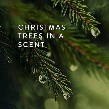 Thymes Travel Tin Holiday Candles - Scented Candles for Home Decor - Winter Scents - Christmas Gifts - Luxury Home Fragrance Gifts for Women & Men - Gold (Frasier Fir, 2.5 oz)