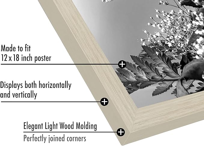 Americanflat 12x18 Poster Frame with Polished Plexiglass - Wide Picture Frames Made of Engineered Wood for Vertical or Horizontal Wall Display - Epic Collection - Light Wood