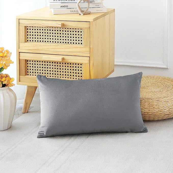 Artscope Luxury Velvet Pillow Covers Decorative Rectangle Pillowcases Soft Solid Cushion Cases for Couch Sofa Bedroom Car Decor 16x24 Inch Graphite Grey