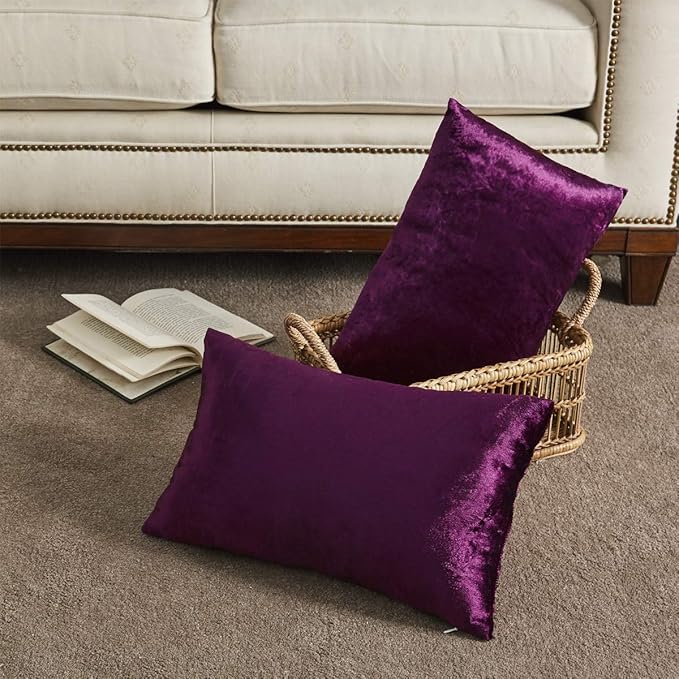 Purple Velvet Decorative Throw Pillow Covers for Sofa Bed 2 Pack Soft Cushion Cover
