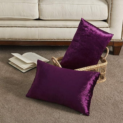 Purple Velvet Decorative Throw Pillow Covers for Sofa Bed 2 Pack Soft Cushion Cover