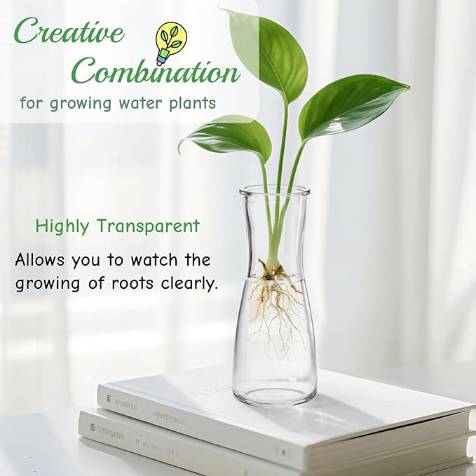 Set of 12 Glass Bud Vases, 6 Oz Clear Small Vases for Flowers Centerpieces, Minimalist Decorative Bulk Vases for Wedding, Birthday, Events, Dining Room Decor