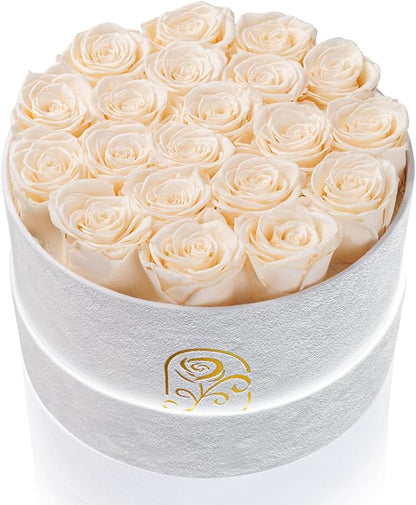 Gifts for Women Preserved Roses Flower Box, Luxury Velvet Box with 20 Roses, Preserved Flowers, Romantic Gift for Her, Wife, Girlfriend, Birthday Anniversary Christmas (Buttermilk)
