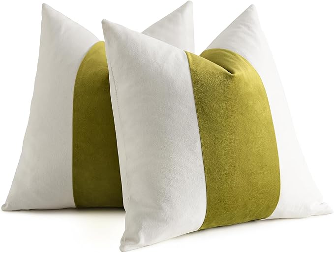 AmHoo Pack of 2 Velvet Panel Cotton Pillow Covers Decorative Pillowcase Cushion for Couch Sofa Bedroom 20 x 20-Inch Spinach Green