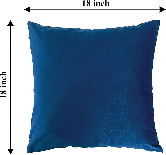 RELY+ Pack of 2 Throw Pillow Covers 16x16 Inch Velvet Soft Cozy Solid Decoration Gifts Pillow Covers Luxury Cushion Case for Sofa Couch Bedroom Living Room (Blue, 18 X 18)