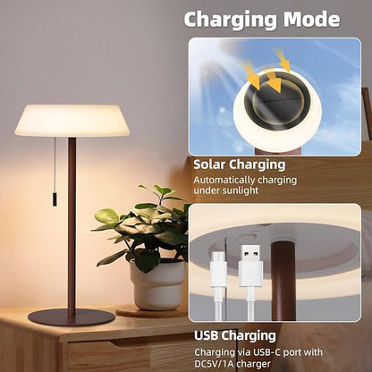 Solar LED Outdoor Table Lamp Waterproof, 3 Level Dimmable Desk Night Light, Portable Cordless USB Rechargeable, for Home/Deck/Patio/Garden (Bronze)