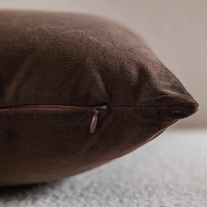 Decorative Pillow Cases 22x22 Chocolate Brown: 2 Pack Cozy Soft Velvet Square Throw Pillow Covers for Farmhouse Home Decor