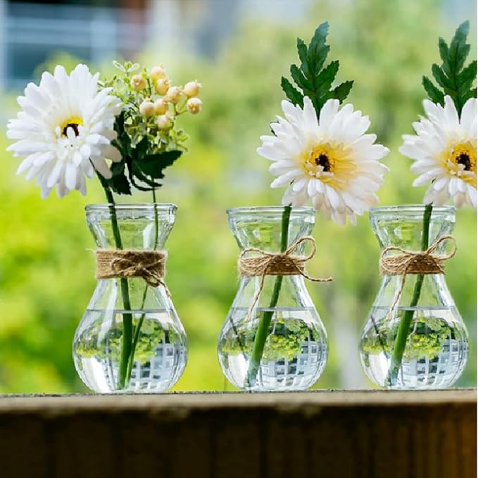 Bulb Glass Vases for Flowers Forcing Hyacinth Clear Decorative Bulb Vase with Round Bamboo Coaster for Home Office Table Decoration(4 Pcs)