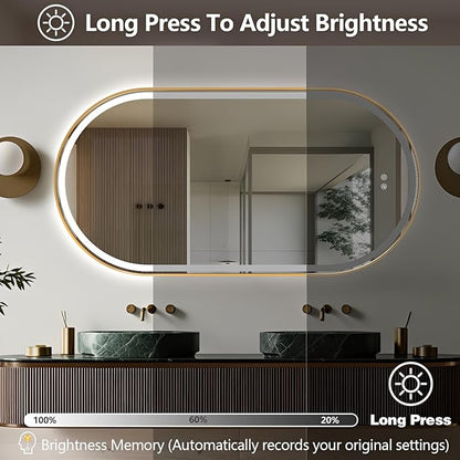 Niccy Oval LED Mirror for Bathroom, 55x28 Front Lit + Backlit Vanity Mirrors with Light Anti-Fog, Shatter-Proof, 3 Colors, Makeup Mirror with Old Gold Frame (Horizontal/Vertical)