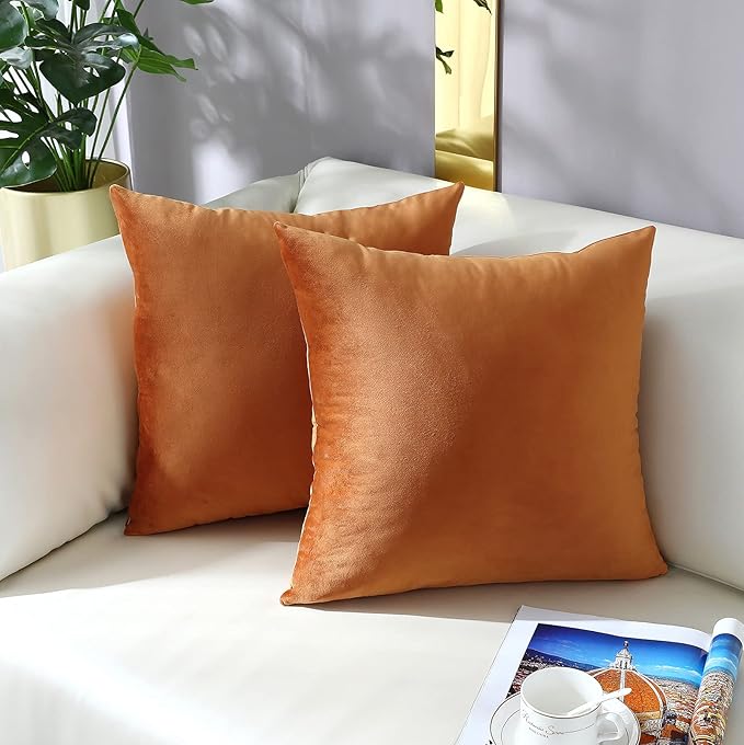mixeoo Comfy Terracotta Couch Throw Pillow Covers Decorative Square Solid Velvet Soft Cushion Cases Home Decor for Sofa Couch Living Room, Set of 2, 16 x 16 Inch
