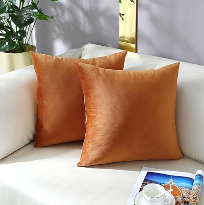 mixeoo Comfy Terracotta Couch Throw Pillow Covers Decorative Square Solid Velvet Soft Cushion Cases Home Decor for Sofa Couch Living Room, Set of 2, 16 x 16 Inch