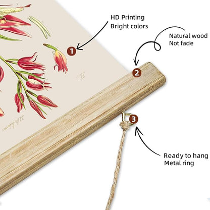 ABoby Vintage Flower Poster, Decorative Botanic Chart Wall Art Prints, Printed on Linen with Wood Frames, Ready to Hang