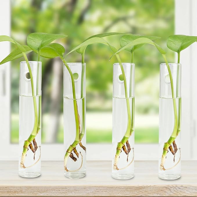 4PCS Wall Hanging Planter Propagation Stations, Plant Tube with Suction Cup Hook, Test Tube Propagation Station Wall Clear Plant Vase No Nails with Bottle Brush Flower Plant Terrarium