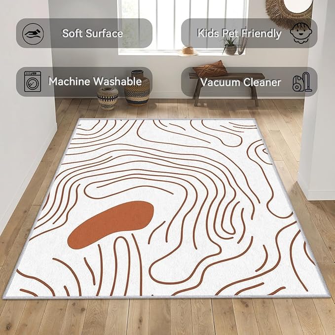 Abstract Rugs for Living Room - Abstract Swirl Area Rug, 3x5 Rug, Minimalist Boho Rug & Home Decor, Line Art Carpet & Room Decor, Washable Non Slip Anti Skid Rugs