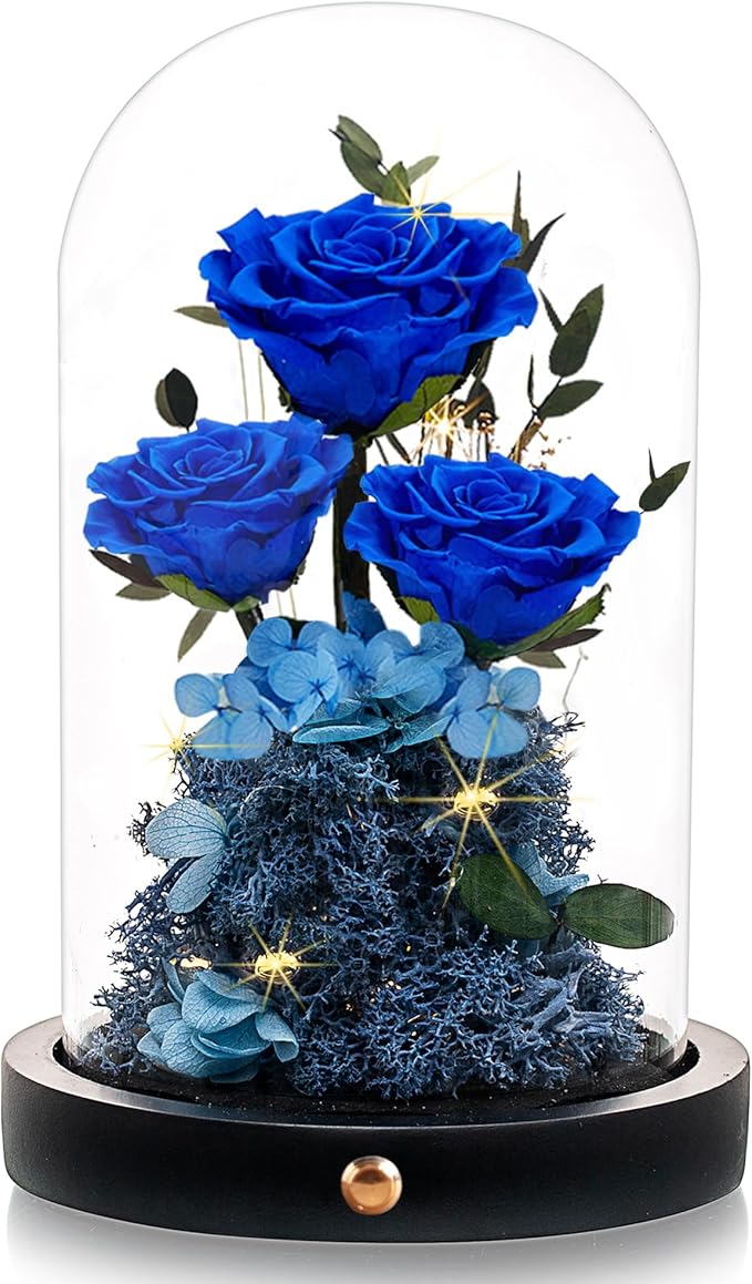 Valentines Day Flowers Roses Gifts for Her,Forever Real Preserved Roses in Glass Dome,Valentines Day Anniversary Birthday Gifts for Wife Girlfriend Women Mom Best Friend Her/Blue Rose