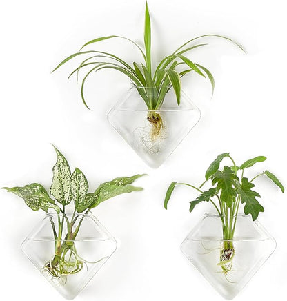 Mkono Wall Planter Hanging Propagation Stations Flower Vase Glass Pots Holder for Hydroponic Plants, Indoor Home Office Living Room Bathroom Decor Gifts, 3 Pack