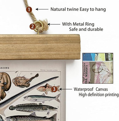 XIAOAIKA Vintage Fish Species Poster - Educational Oceanic Life Chart with Wooden Scroll Frame - Classic Nautical Wall Hanging Decor for Home, Office, or Classroom 16 x 23 Inches