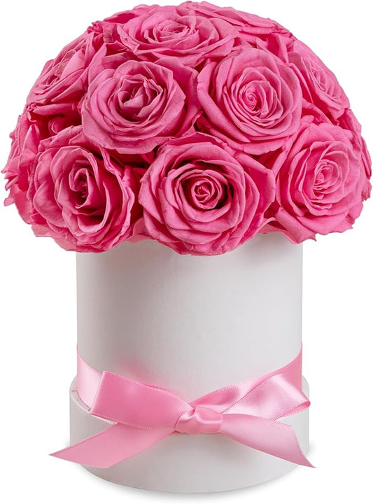 Preserved Roses Dome in a Box, Forever Real Roses Decor, Eternal Flowers for Delivery Prime, Best Gifts Birthday, Wedding, Anniversary, Mother's Day, Christmas for Her, 18-Pieces (Pink)
