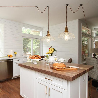 Plug in Pendant Light Industrial Pendant Lighting with Plug in Cord 9.8ft Hanging Lamps Clear Glass Shade ‎Bronze Light Fixture for Living Room Kitchen Dining Room Bedroom