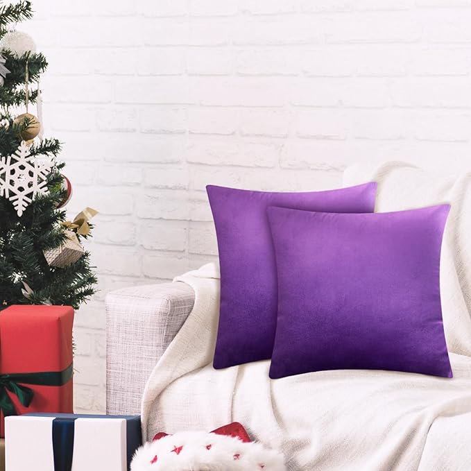2 Pack 22x22 Pillow Cover Velvet Pillow Covers, Square Throw Pillow Covers for Living Room Decorations Throw Pillow Case, Throw Pillow Cover Cushion Cover for Sofa Bedroom Car, Eggplant Purple