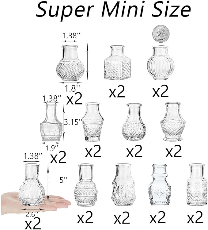 Clear Glass Bud Vase Cute Mini Vases 24Pcs EylKoi Flowers Vintage Small Glass Tiny in Bulk Different Shape Modern Set Lovely for Decor Table Wedding Home Table Centerpieces Dinning Party