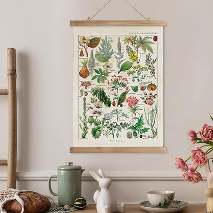 XIAOAIKA Vintage Botany Poster with Wooden Frame, Antique Poisonous Plants Chart - Botanical Educational Art with Dangerous Species - Retro-Style Wall Hanging for Home Classroom Decor 16 x 23 Inches