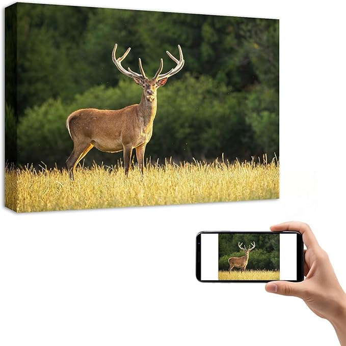 YYYYHPP Canvas Prints with Your Photos, Personalized Photo to Canvas Wall Art,Canvas Printing for Wedding, Family, Baby, Pets, Home Office Decor, Wrapped Frame 16"x12"