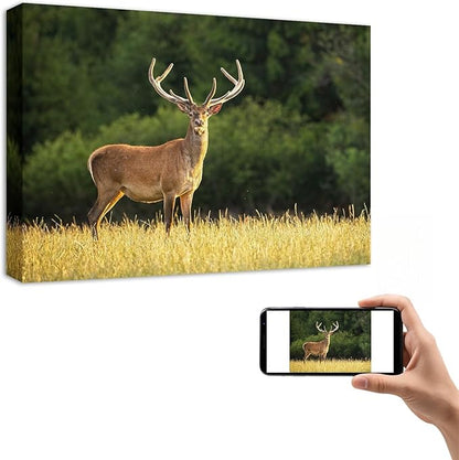 YYYYHPP Canvas Prints with Your Photos, Personalized Photo to Canvas Wall Art,Canvas Printing for Wedding, Family, Baby, Pets, Home Office Decor, Wrapped Frame 16"x12"