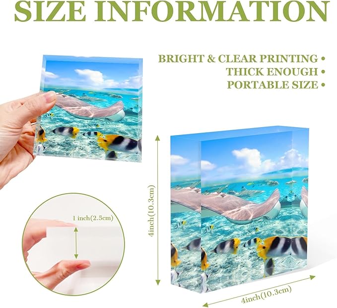 Women Congratulations Summer Colorful Fish Underwater Acrylic Desktop Ornament 4 x 4 Inch Graduation Present for Friends, Office Staff, Boss Female