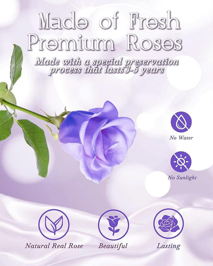 HVY Preserved Flower Bouquet Gift for Her,Forever Fresh Flowers for Delivery Prime Preserved Roses in Glass with LED Light Mothers Day Birthday Gifts for Mom,Wife,Grandma, Purple Rose
