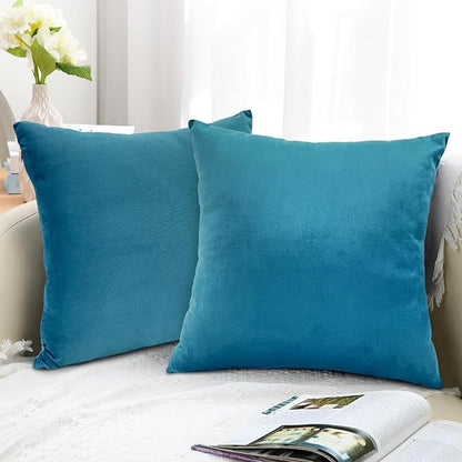 RELY+ Pack of 2 Throw Pillow Covers 16x16 Inch Velvet Soft Cozy Solid Decoration Gifts Pillow Covers Luxury Cushion Case for Sofa Couch Bedroom Living Room - Turquise