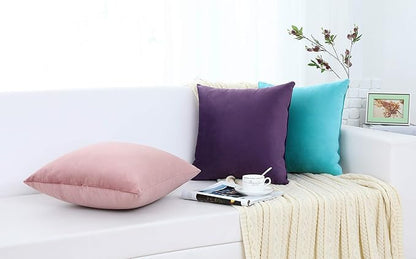 Jeneoo Comfy Soft Thick Velvet Throw Pillow Covers for Sofa Couch, Decorative Solid Square Cushion Cases for Bedroom Car (Eggplant Purple, 20 x 20 Inches, 2 Pieces)