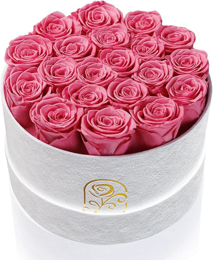 Gifts for Women Preserved Roses Flower Box, Luxury Velvet Box with 20 Roses, Preserved Flowers, Romantic Gift for Her, Wife, Girlfriend, Birthday Anniversary Christmas (Pink)