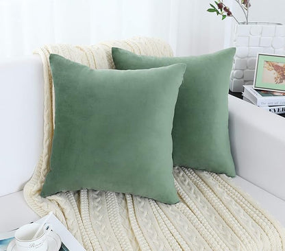 Jeneoo Set of 2 Comfy Soft Velvet Throw Pillow Covers for Sofa Couch Decorative Solid Square Cushion Cases for Bedroom Car (18 x 18 Inches, Sage Green)