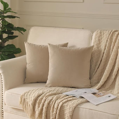 Set of 2 Velvet Throw Pillow Covers for Couch and Bed - 18"x18", Oatmeal