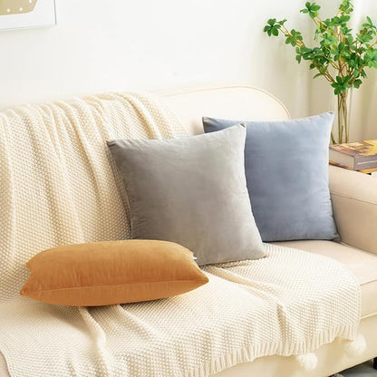 HWY 50 Orange Velvet Throw Pillow Covers 16x16 Inch, Pack of 2 Soft Cozy Solid Decorative Fall Luxury Cushion Cases for Couch Sofa Bed Living Room Bedroom