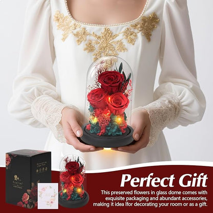 Casaido Preserved Roses Flowers for Delivery, Red Forever Flores in Glass Dome for Women Mom Wife Girlfriend Grandma, Eternal Rose Anniversary Birthday Gift for Mothers Day Valentines Christmas