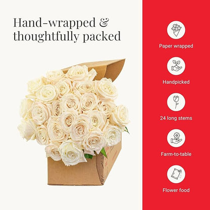 BloomsyBox - White Roses - 24 Long Stems,Long Lasting, Hand-Tied in Eco-friendly, Vase Not Included, Fresh Flowers for Delivery – Gift for Birthday, Anniversary, Get Well, Congratulations, Wedding