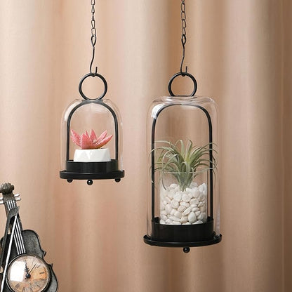 6" & 4" Wide Versatile Modern Metal Hurricane Lantern with Handmade Sturdy Glass Dome in Black for Pillar Candle & Plants, for Living Room, Porch, Mantel Decoration (Black, 4"x7.5" &6.3"x11.2")