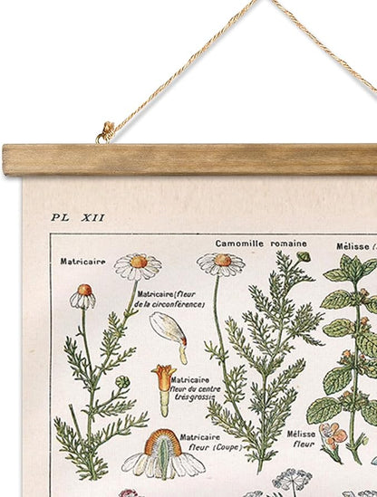 Vintage Spring Flower Poster Print, Botanical Educational Illustration, Rustic Wooden Hanger Frame, Linen Canvas Wall Art Decor, Farmhouse Cottagecore Style for Living Room Bedroom Office (16" x 23")