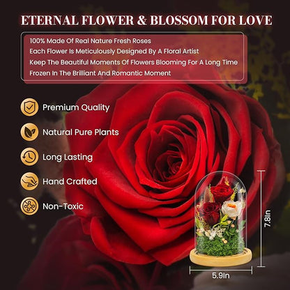 Forever Flowers Preserved Roses Prime Delivery for Women, Glass Dome Light Up Preserved Flowers, Christmas Anniversary Thanksgiving Gifts for Wife Girlfriend Women Best Friend Grandma(Red)