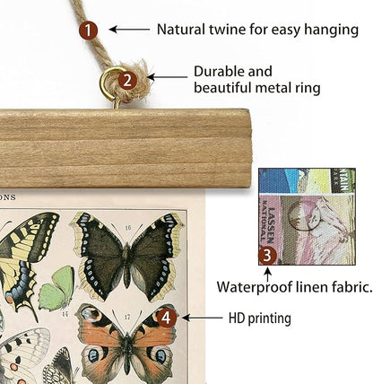 XIAOAIKA 2 Pack Vintage Butterfly Poster - Cottagecore Room Decor Aesthetic - Classic Lepidoptera Wall Art with Wooden Frame - Educational Decor for Nature Enthusiasts and Collectors 16 x 23 inches