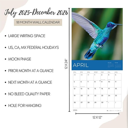 Hummingbirds Wall Calendar 2026 | 12" x 24" Open | Giftable Nature Calendar 2026 | Thick & Sturdy Paper for Organizing & Planning | Pacific Waters Press (Hummingbirds)