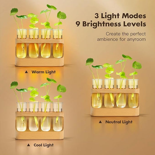 Plant Propagation Station with LED Light – Glass Test Tube Vases & Beech Wood Desk Decor, Wooden Stand Terrarium for Indoor Home Office, Plant Gifts for Women Plant Lovers