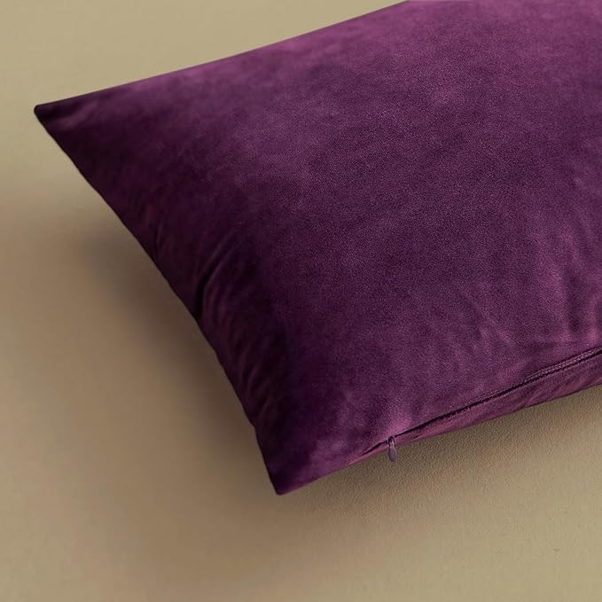 MIULEE Velvet Throw Pillow Covers 24x24 Inch, Pack of 2 - Eggplant Purple,Super Soft Decorative Square Euro Cushion Cases Modern Luxury Home Decor for Bed,Bedroom, Sofa,Couch