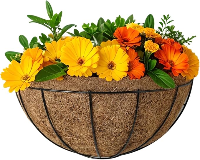 3-Pack Hanging & Wall-Mounted Plant Baskets with Natural Coconut Fiber Liner, Decorative Planters for Home Garden Patio Yard (3Pack HalfWall, 12Inch)